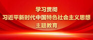 操女人B免费视频学习贯彻习近平新时代中国特色社会主义思想主题教育_fororder_ad-371X160(2)